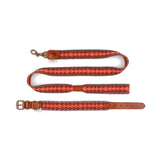 Buddys Hundehalsband Peruvian Arrow Orange