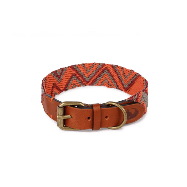 Buddy Hundehalsband Peruvian Pikes