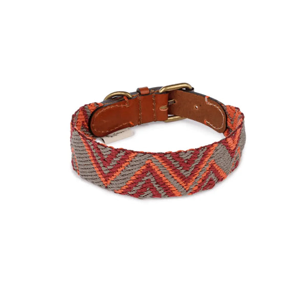 Buddy Hundehalsband Peruvian Pikes