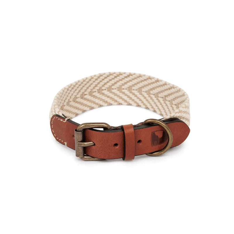 Portixol Sand Halsband für Hunde von Buddys