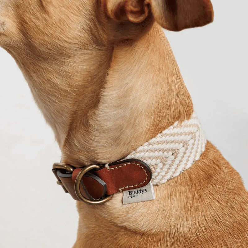 Portixol Sand Halsband für Hunde von Buddys